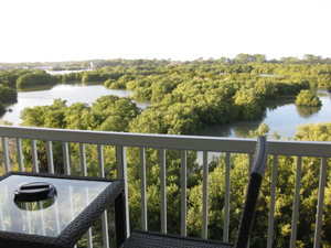 View of the marsh from the private balcony