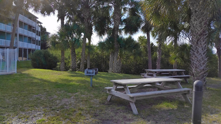 picnic tables