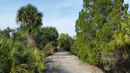 nature trail