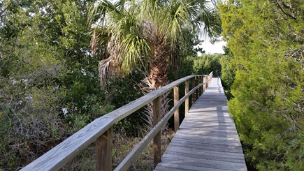 boardwalk portion of the nature trail