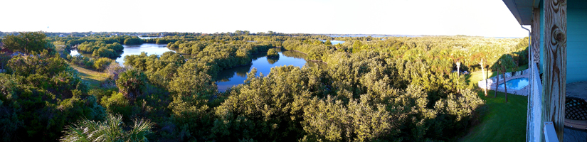 A panoramic view of the wetland marsh